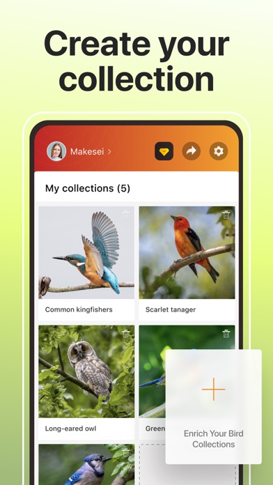 Picture Bird: Birds Identifier Screenshot