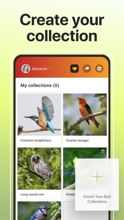 Picture Bird: Sound identifier screenshot-5