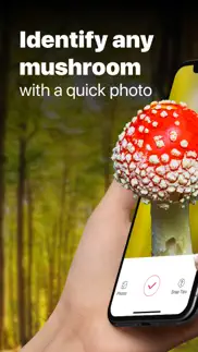 picture mushroom: fungi finder iphone screenshot 1