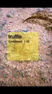 فقع truffle problems & solutions and troubleshooting guide - 1