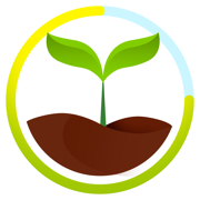 Bosque: Organizador de Rutina
