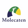 Molecaten icon