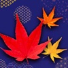 CardMatching AutumnLeaves