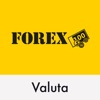 FOREX Valuta