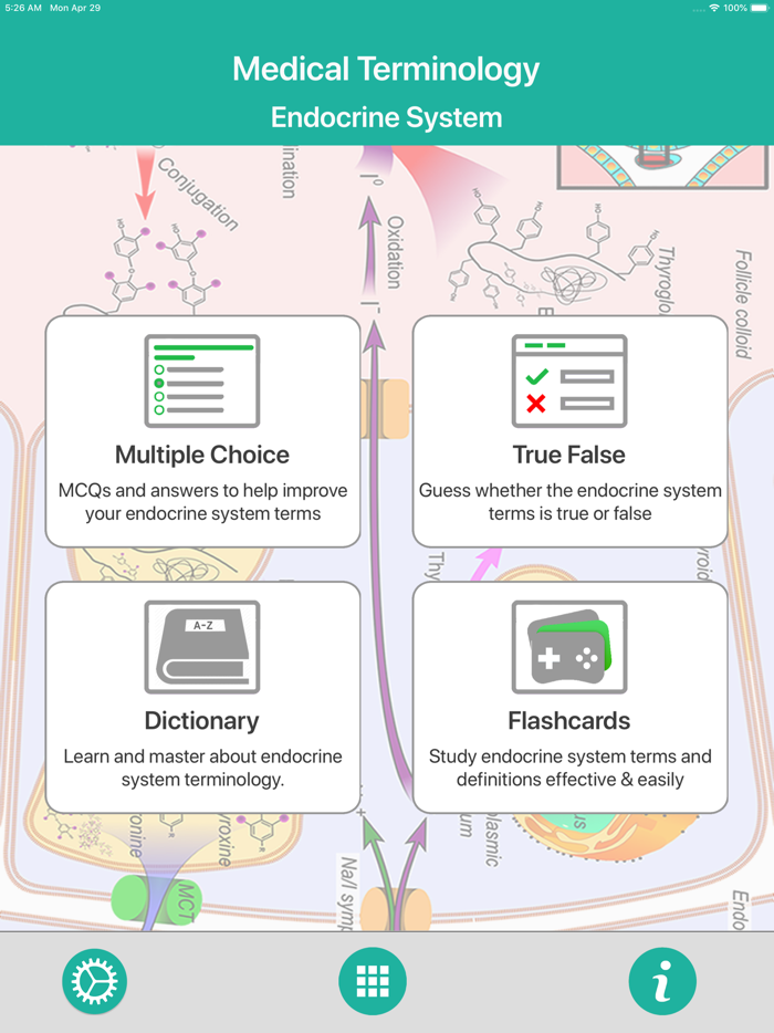 Endocrine System Medical Terms