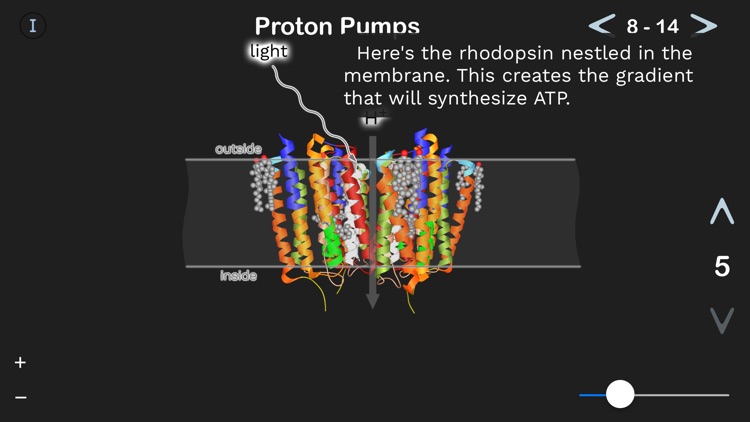 BioMole screenshot-4