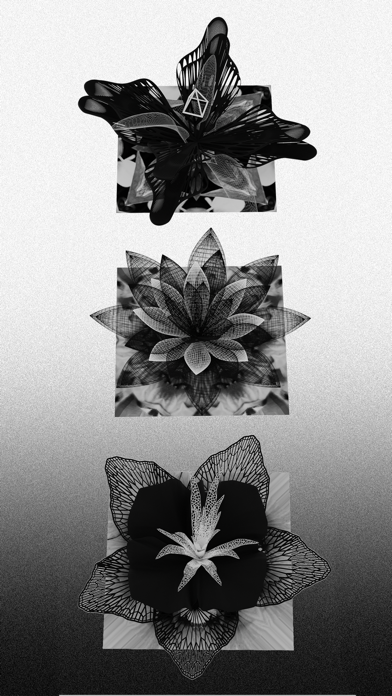 Screenshot #2 pour Fou Flowers
