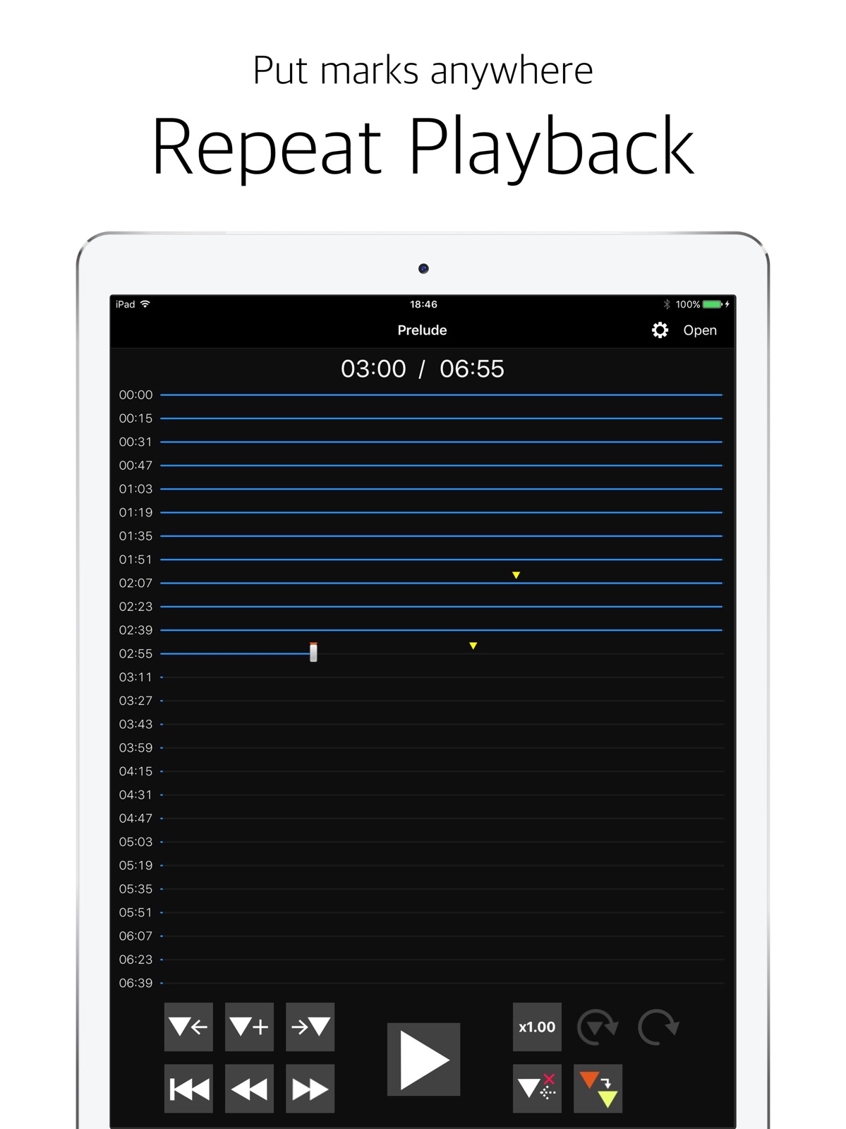 Audipo - Audio Speed Changer - ipad screenshot 1