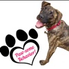 Pawsome Behavior Dog Training icon