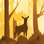 Download Wildfulness 2 - Nature Sounds app