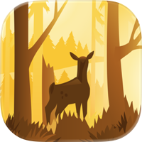 Wildfulness 2 - Nature Sounds