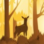 Wildfulness 2 - Nature Sounds app download