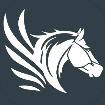 Tulpar Dergi - At Yarışı Cheats