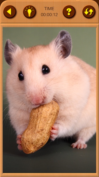 Hamster Jigsaw Puzzle Games screenshot-4