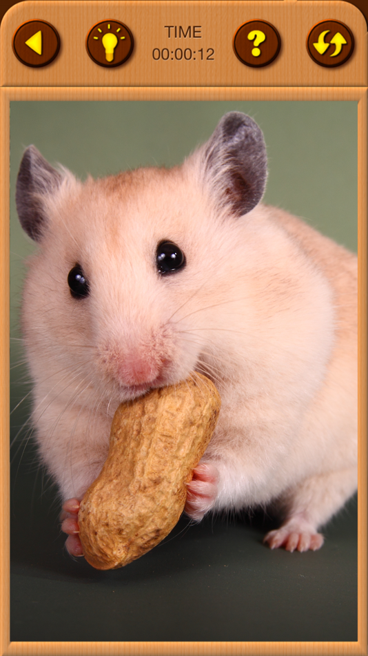 #5. Hamster Jigsaw Puzzle Games (iOS) โดย: Irina Schens