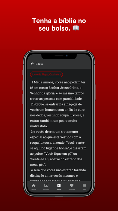 STN Brasil Screenshot