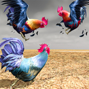 Wild Rooster Chicken Simulator