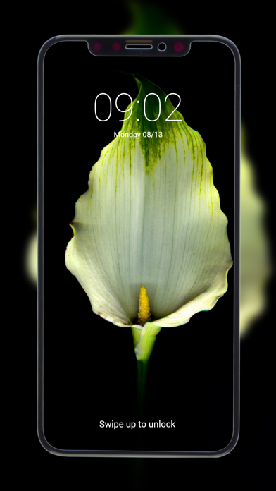 HD Wallpapers 4K Backgrounds Screenshot