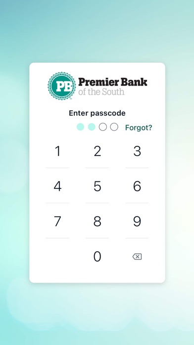 Premier Bank of the South Screenshot