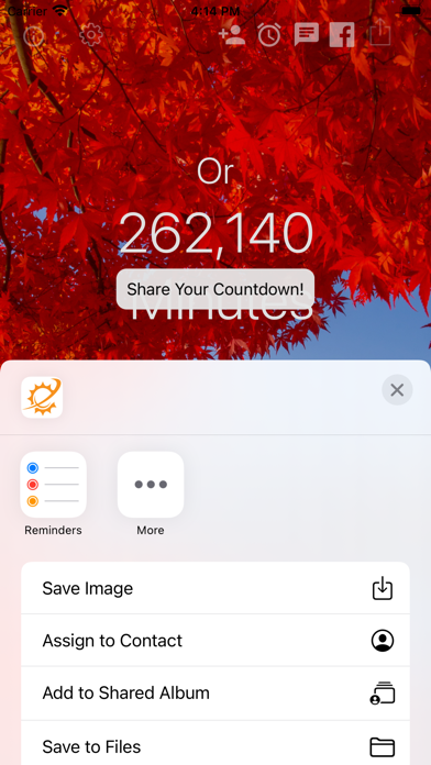 Colorful Countdown Day Widget Screenshot