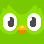 Duolingo - Language Lessons App Problems