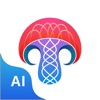 キノコ判定 きのこ図鑑 きのこアプリ Mushroom ID - iPadアプリ