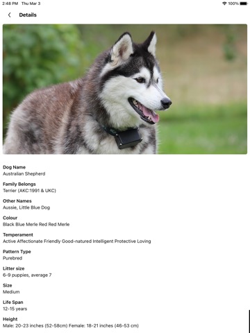 Dog Scanner Dog Breed Photo IDのおすすめ画像2