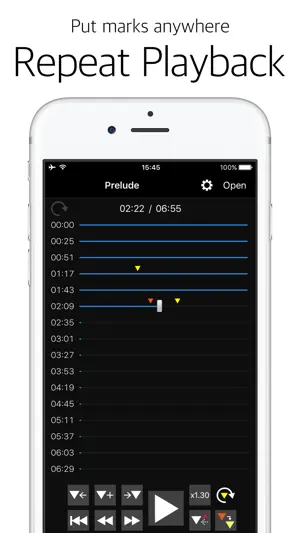 Audipo - Audio Speed Changer - screenshot 1