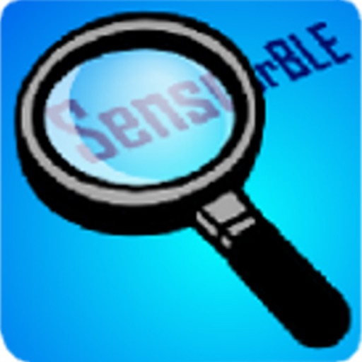 Magnifying Glass & Mirror Icon