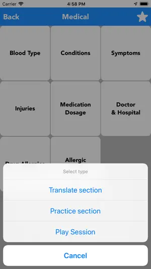English to Yiddish Translator screenshot 3