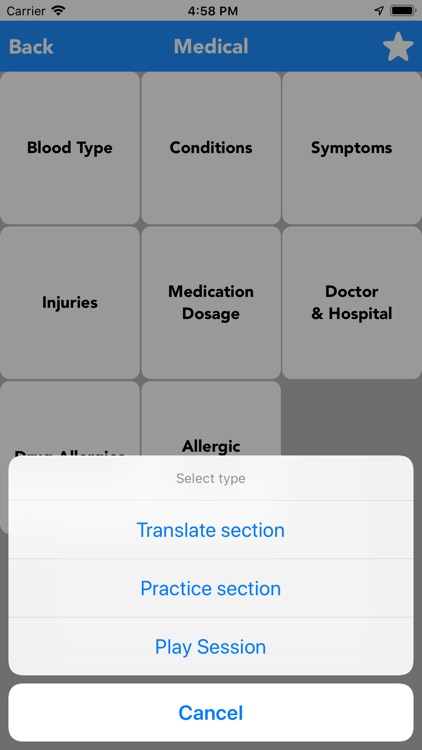 English to Yiddish Translator