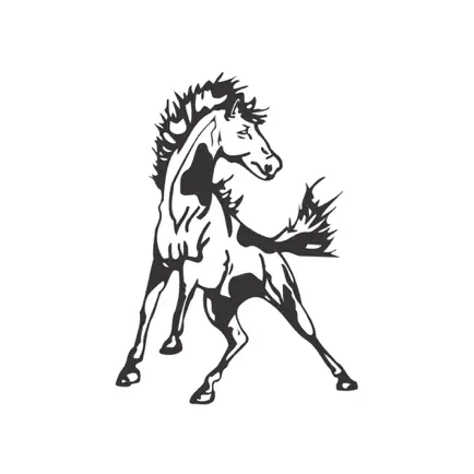 MESD Schools Читы