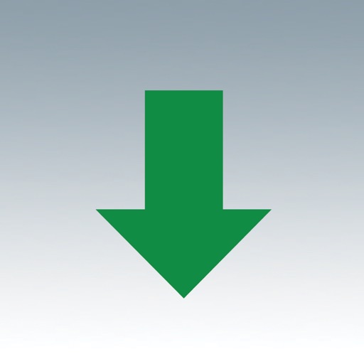 Emerald Timestamp icon