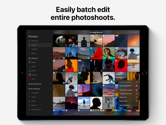 Photomator – Photo Editor iPad app afbeelding 6