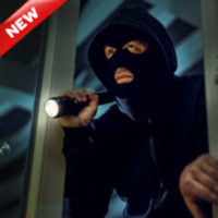 Jewel thief robbery game