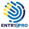 Entry Pro