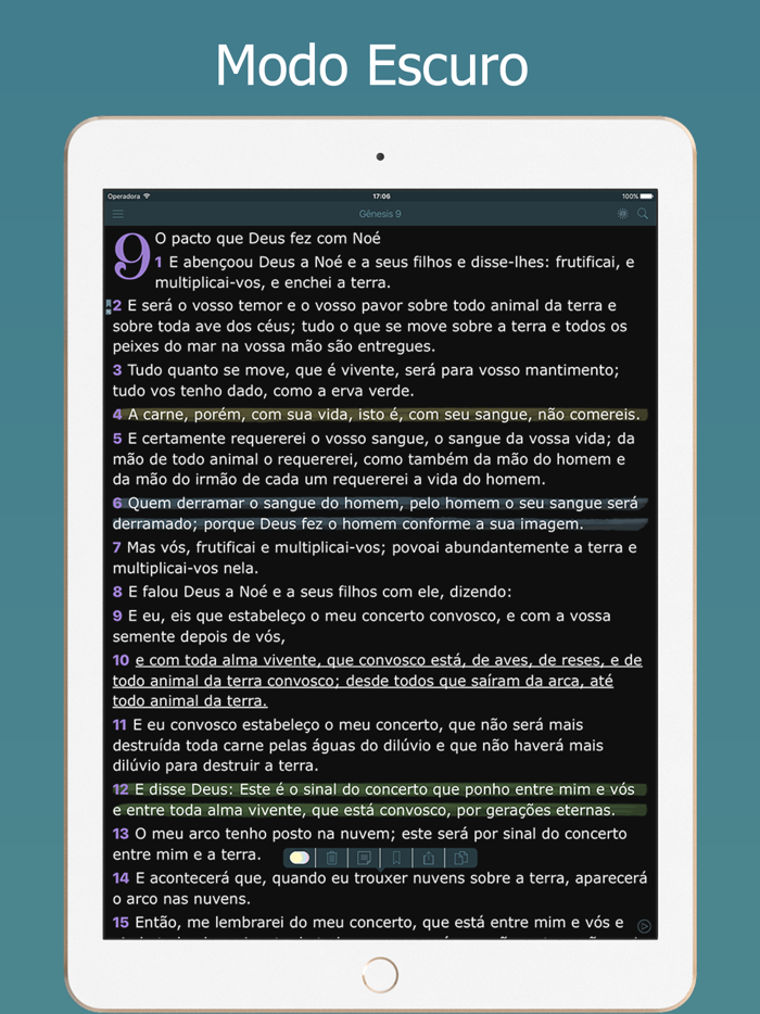 Bíblia Sagrada Almeida e Audio