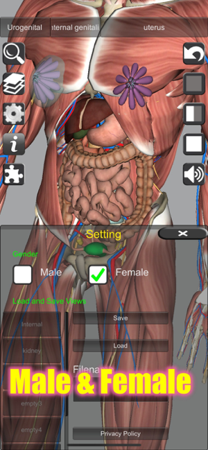 Captură de ecran de anatomie 3D