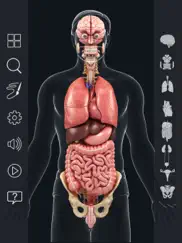 organs anatomy ipad resimleri 1