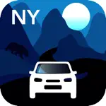 New York Traffic Cameras App Positive Reviews