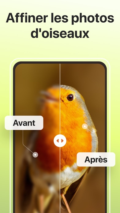 Screenshot #3 pour Picture Bird - Oiseaux ID