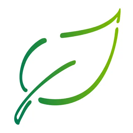 MeineBVAEB Читы