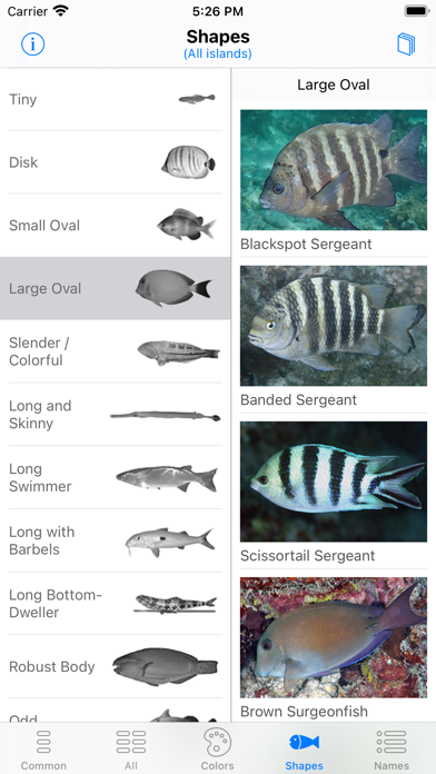 Tahiti Fish ID Screenshot