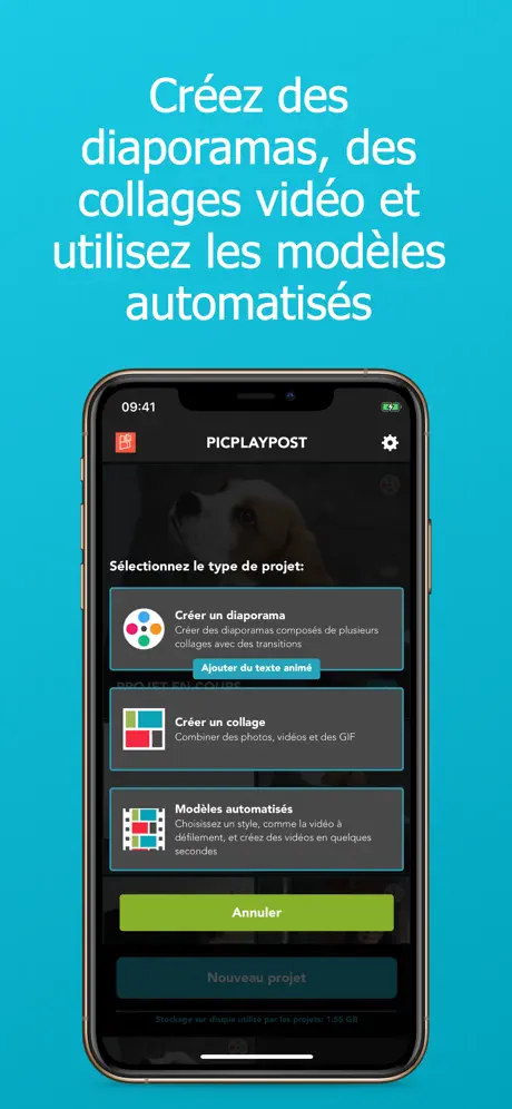 PicPlayPost - Video Editor