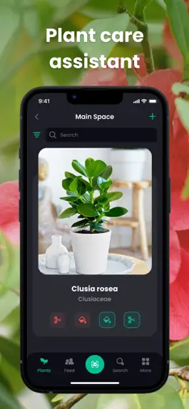 Game screenshot PlantIn: Plant Identifier apk