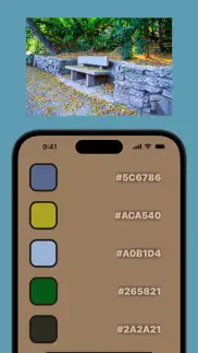 image to color palette iphone screenshot 4