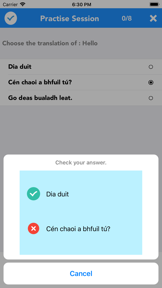 English to Irish Translator screenshot