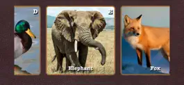 Game screenshot Kid.Safari mod apk