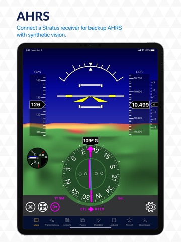 Stratus Insight EFBのおすすめ画像2