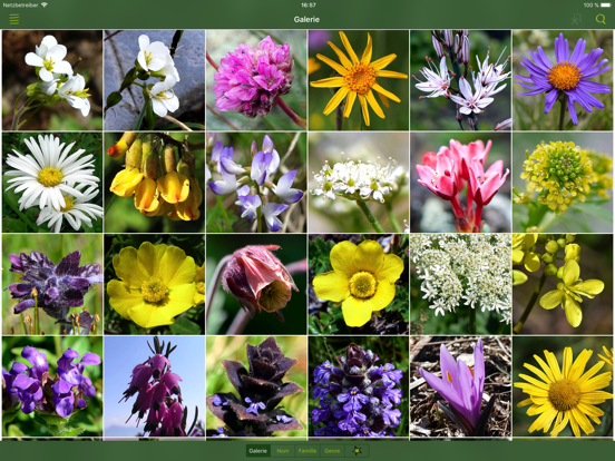 Screenshot #5 pour Fleurs des Alpes Finder Europe